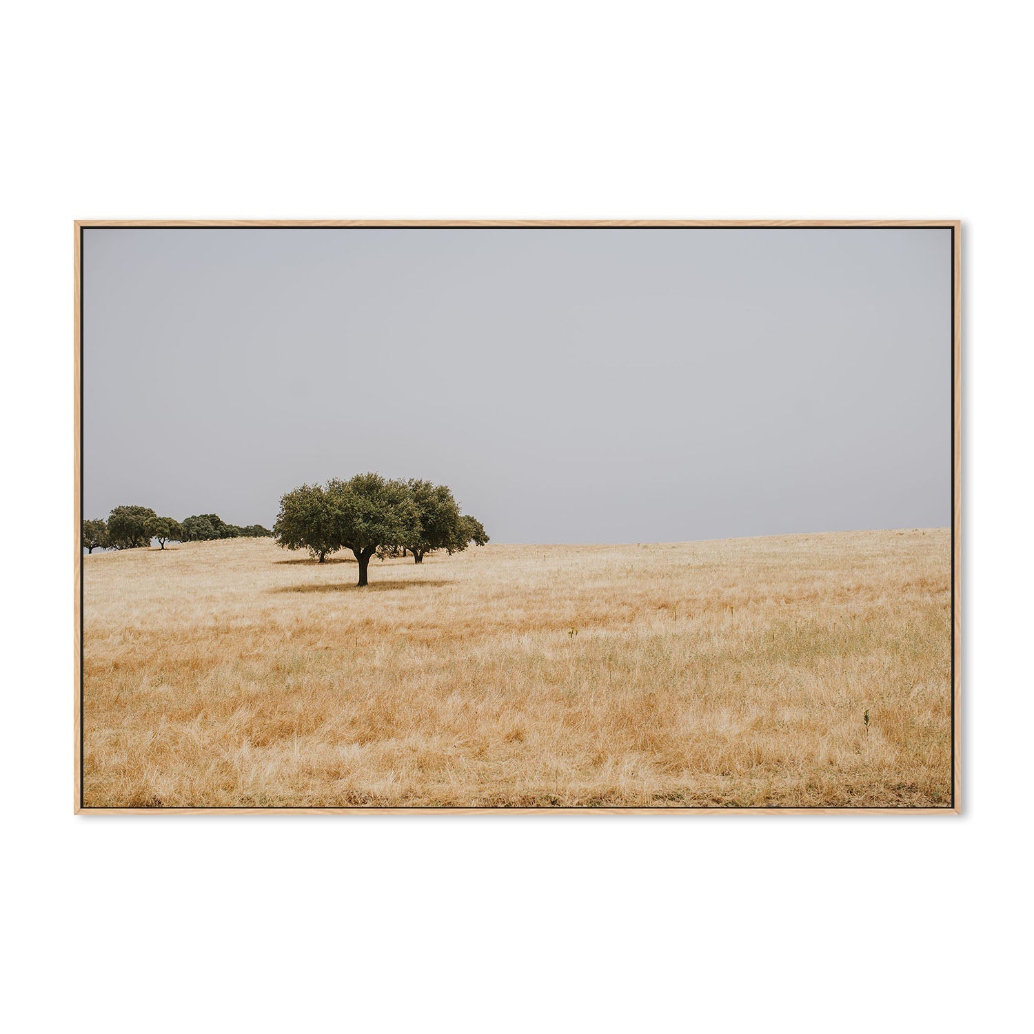 wall-art-print-canvas-poster-framed-Golden Landscape , By Hello Twiggs-4