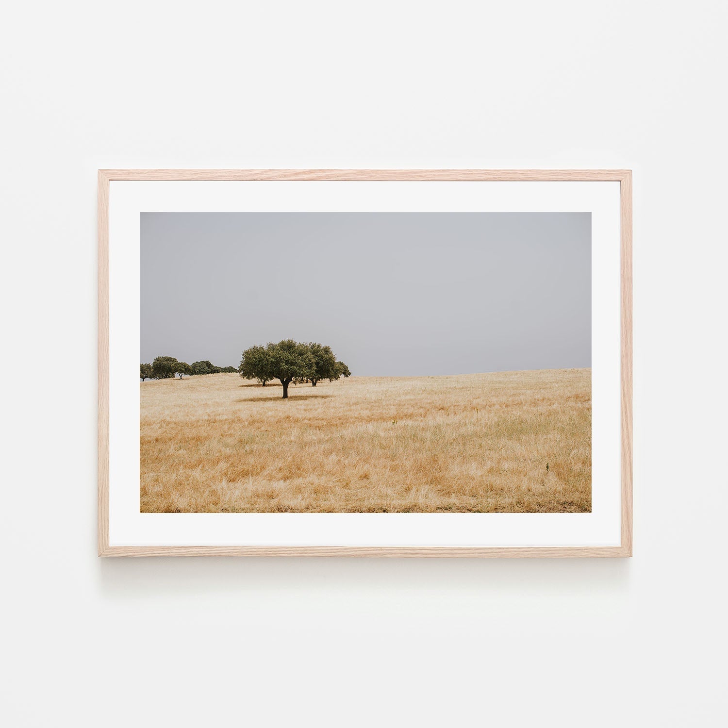 wall-art-print-canvas-poster-framed-Golden Landscape , By Hello Twiggs-6