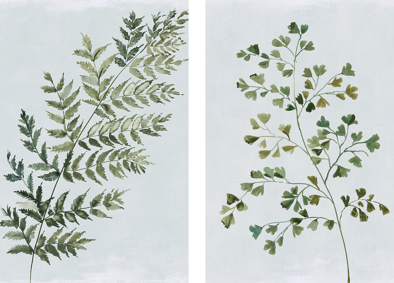 wall-art-print-canvas-poster-framed-Green Fern, Style A & B, Set Of 2 , By Asia Jensen-1