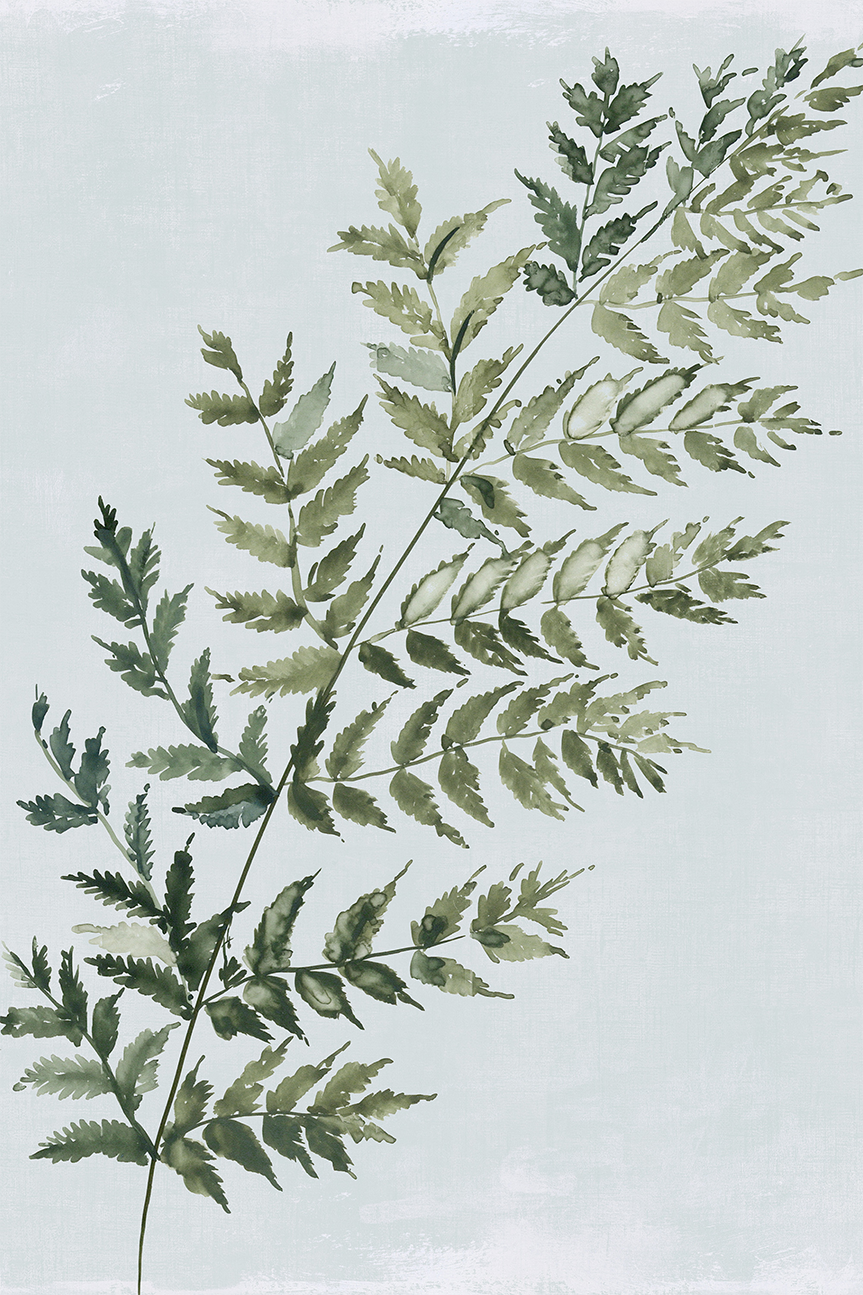 wall-art-print-canvas-poster-framed-Green Fern, Style A , By Asia Jensen-1