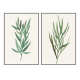 wall-art-print-canvas-poster-framed-Green Leaves, Style B & C, Set Of 2 , By Laura Horn-GIOIA-WALL-ART