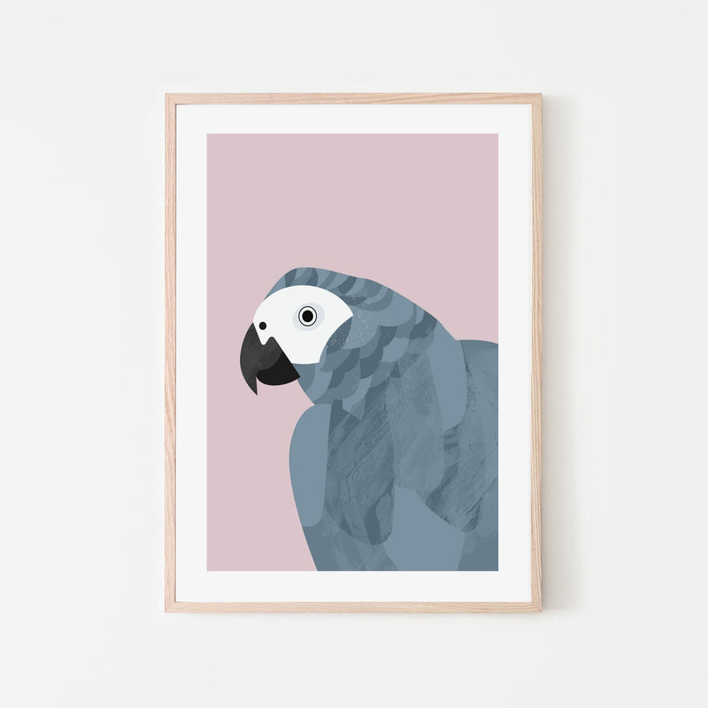 wall-art-print-canvas-poster-framed-Grey Macaw , By Dan Hobday-GIOIA-WALL-ART