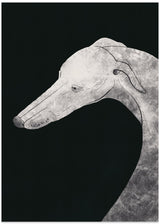 wall-art-print-canvas-poster-framed-Greyhound black and white 02 , By Little Dean-1