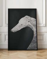 wall-art-print-canvas-poster-framed-Greyhound black and white 02 , By Little Dean-3
