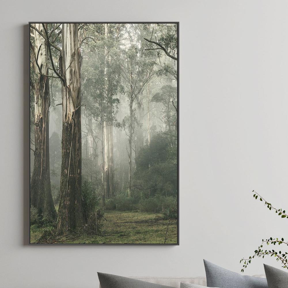 wall-art-print-canvas-poster-framed-Gum Tree Forest on a Foggy Winter Day, Whist , By Andrew Paranavitana-3