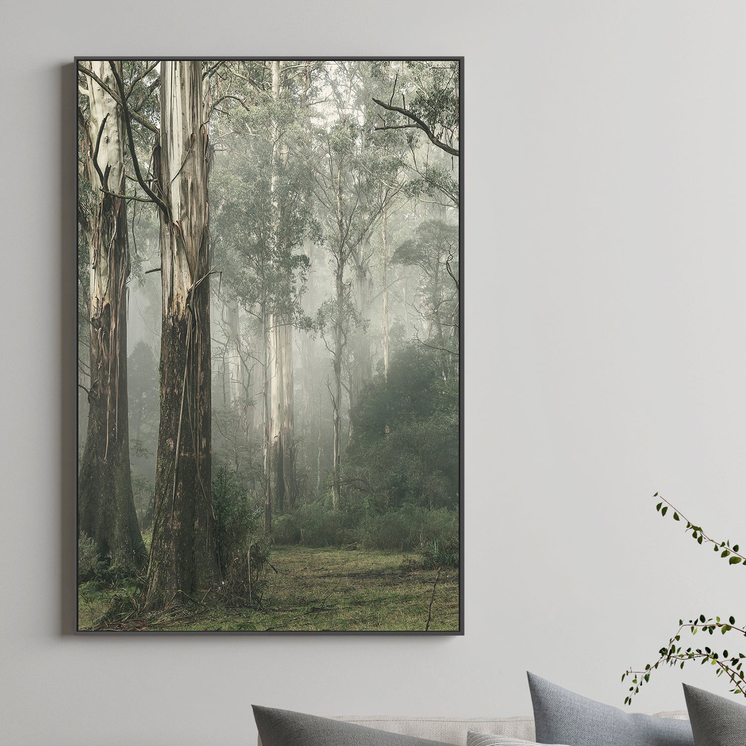 wall-art-print-canvas-poster-framed-Gum Tree Forest on a Foggy Winter Day, Whist , By Andrew Paranavitana-3