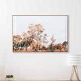 wall-art-print-canvas-poster-framed-Gum Trees In Sunset, South Australia-by-Gioia Wall Art-Gioia Wall Art