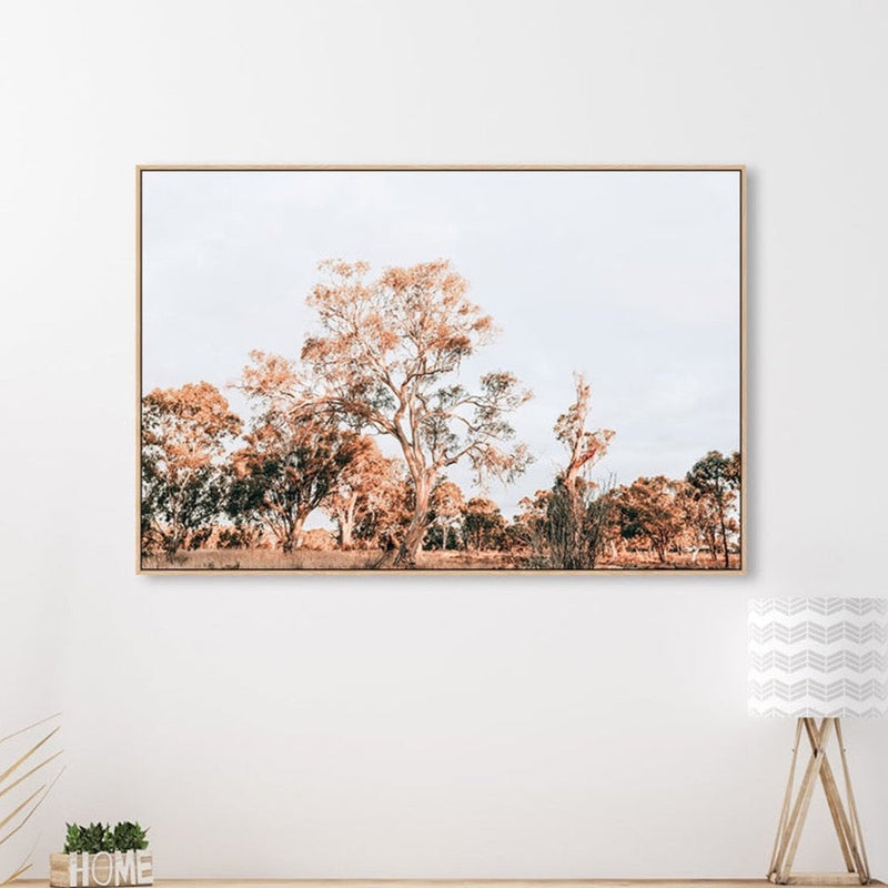 wall-art-print-canvas-poster-framed-Gum Trees In Sunset, South Australia-by-Gioia Wall Art-Gioia Wall Art