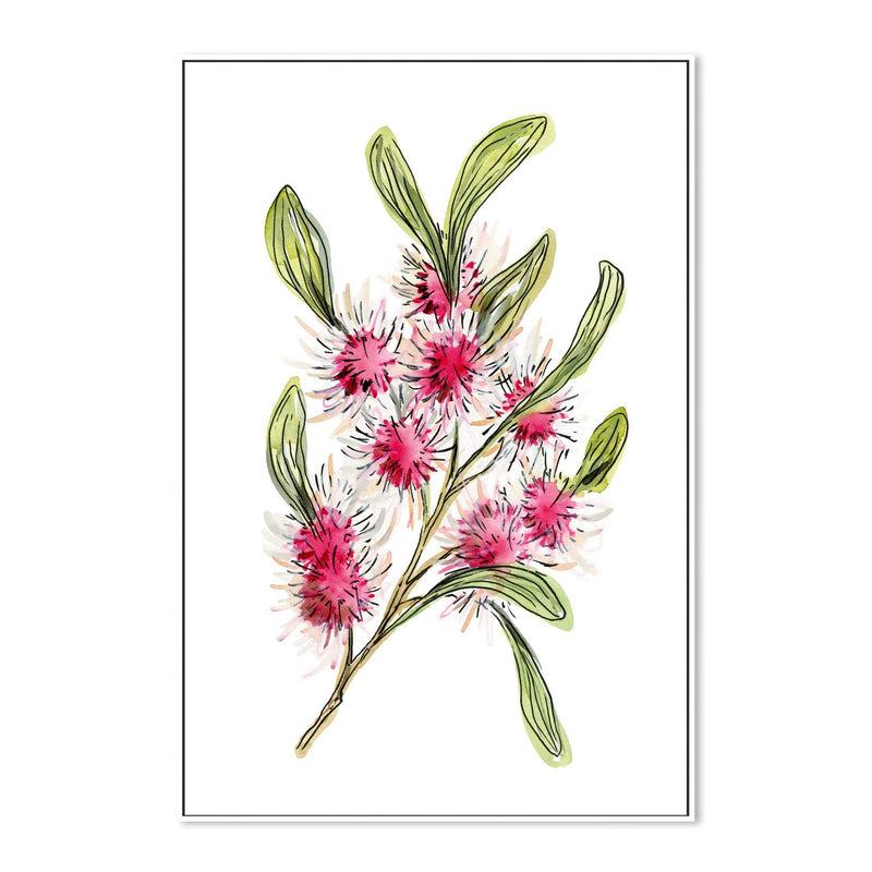 wall-art-print-canvas-poster-framed-Hakea Laurina , By Jessie Mitchelson-GIOIA-WALL-ART