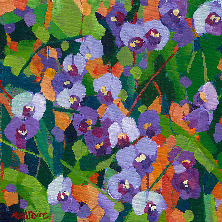 wall-art-print-canvas-poster-framed-Hardenbergia-1