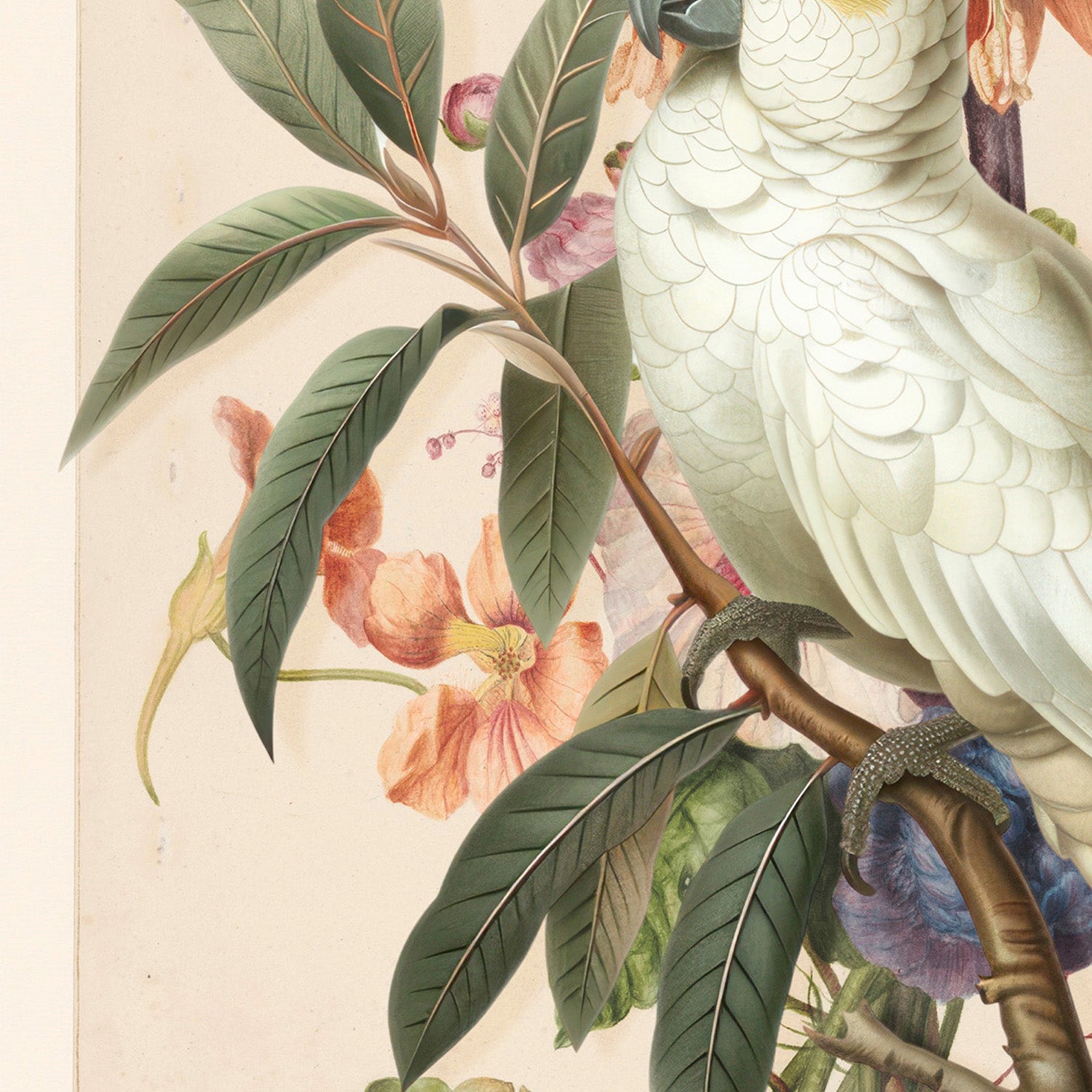 wall-art-print-canvas-poster-framed-Henri‘ttaÕs Bird-10