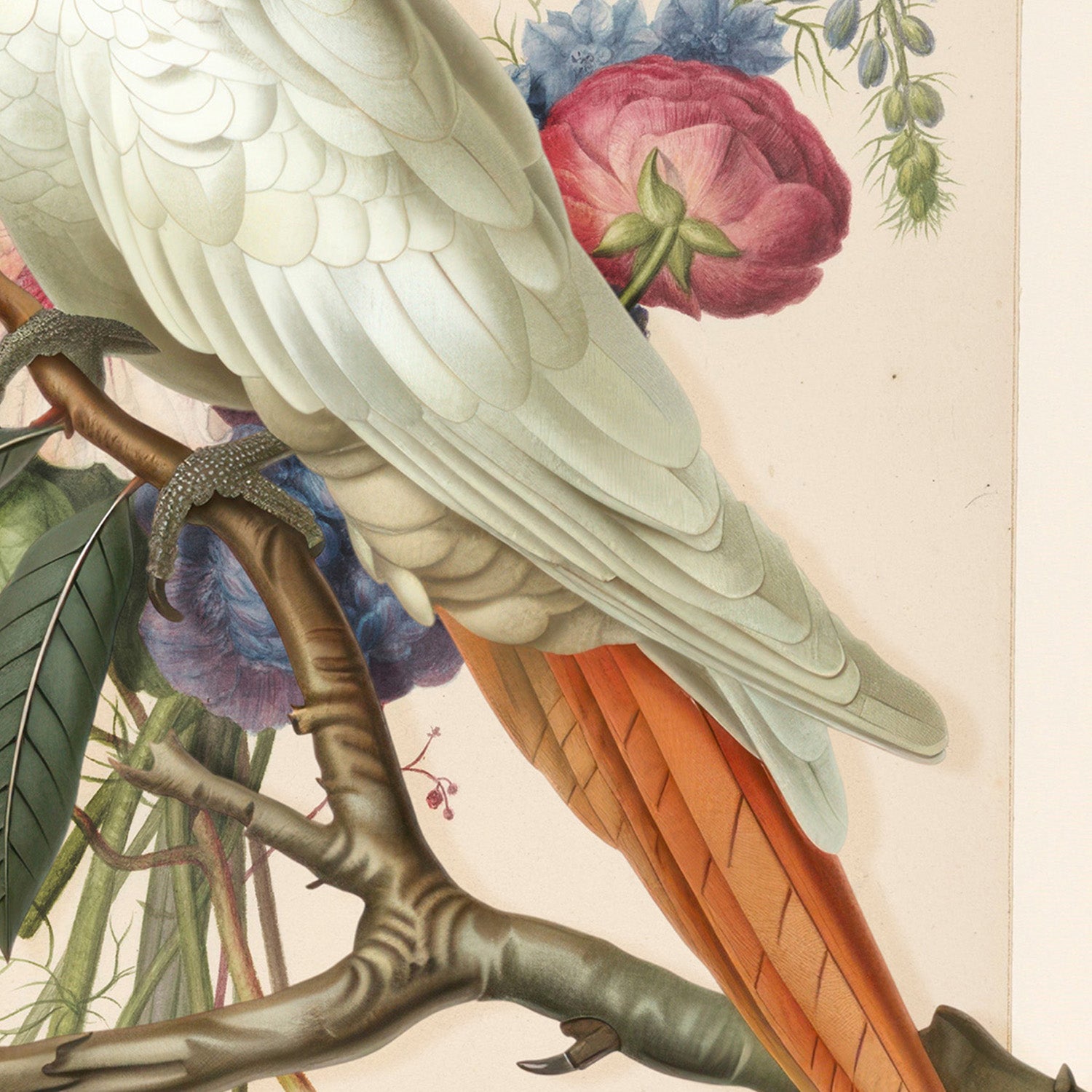 wall-art-print-canvas-poster-framed-Henri‘ttaÕs Bird-11