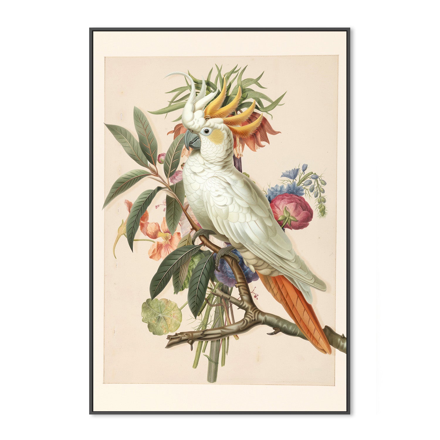 wall-art-print-canvas-poster-framed-Henri‘ttaÕs Bird-3