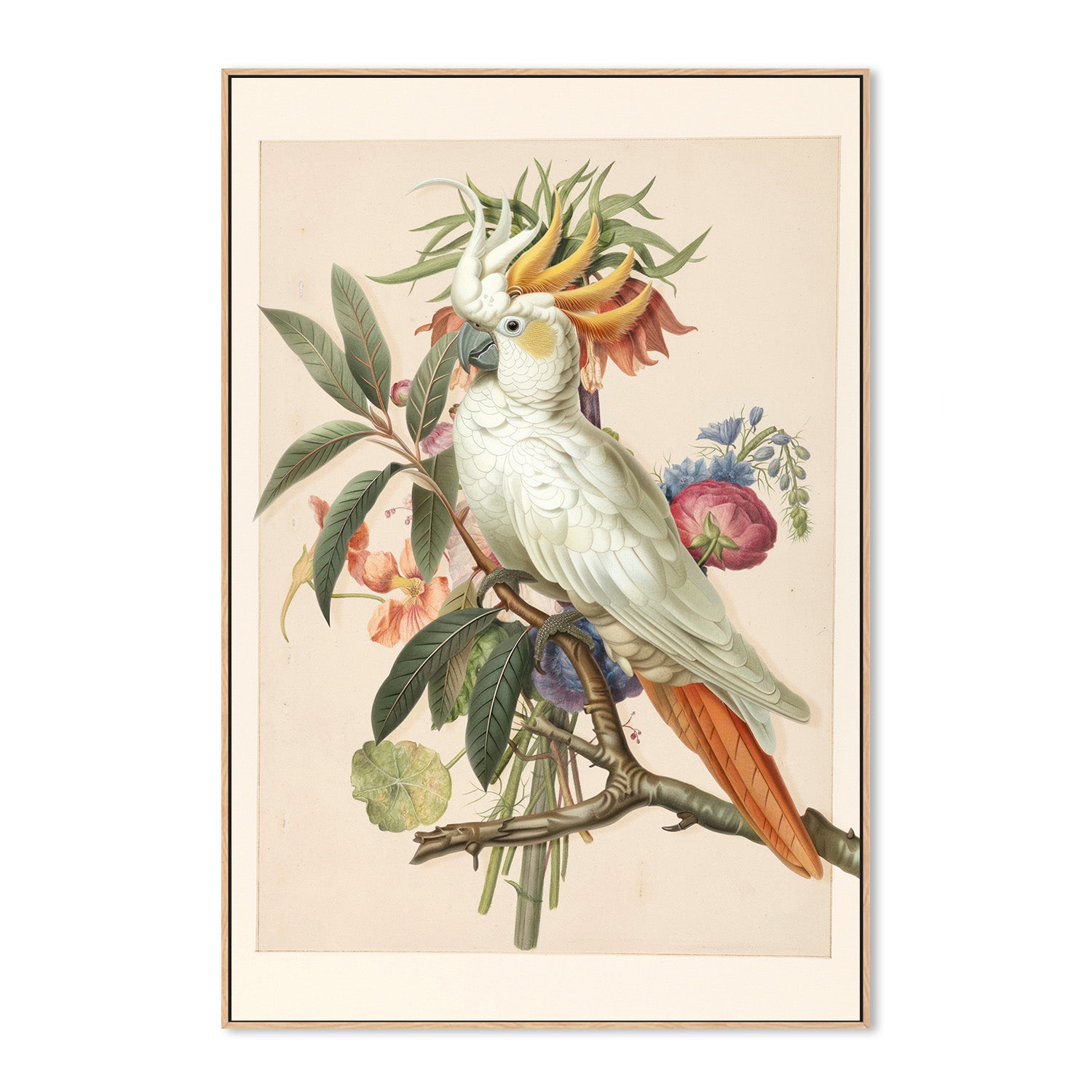 wall-art-print-canvas-poster-framed-Henri‘ttaÕs Bird-4