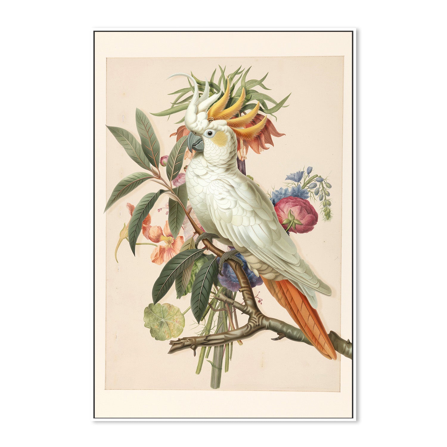 wall-art-print-canvas-poster-framed-Henri‘ttaÕs Bird-5