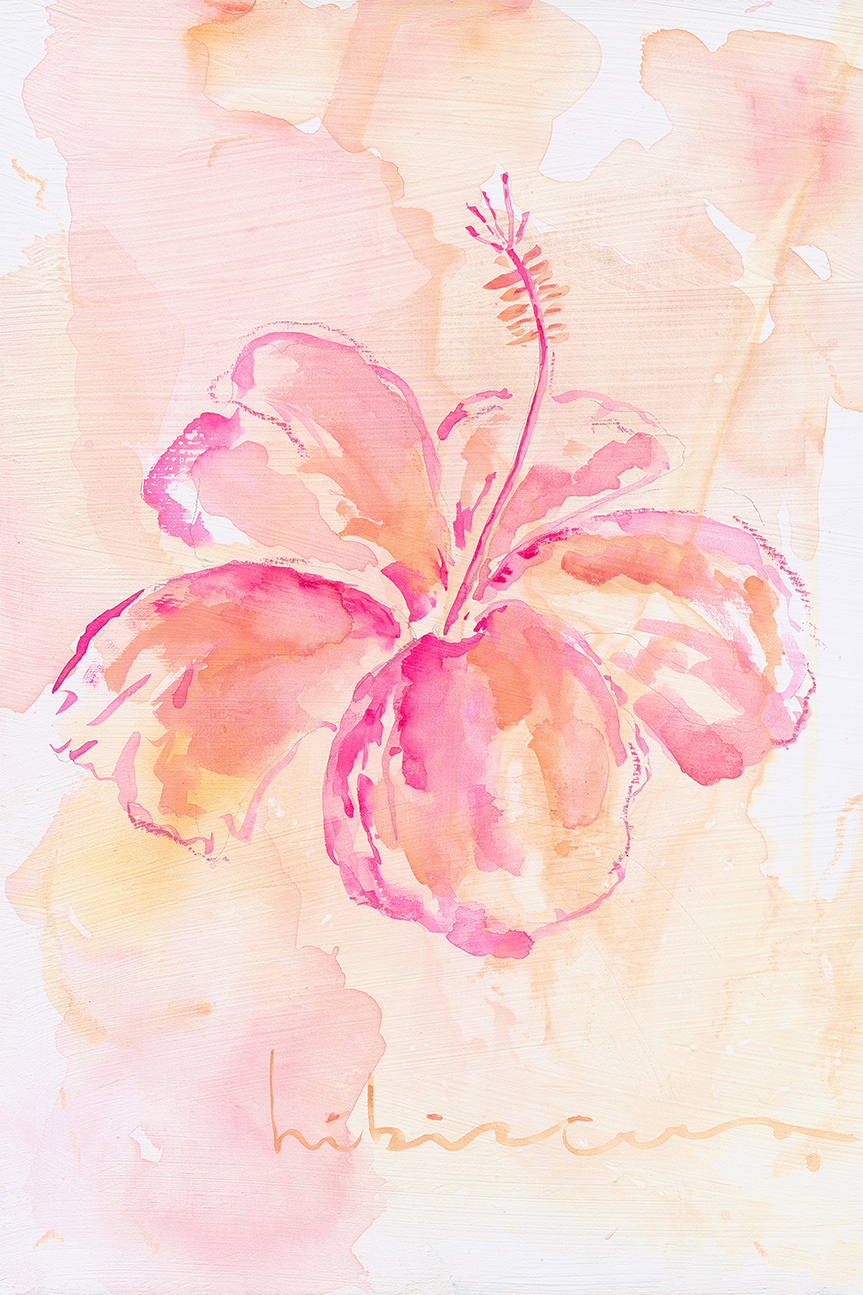 wall-art-print-canvas-poster-framed-Hibiscus , By Cass Deller-1