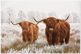 wall-art-print-canvas-poster-framed-Highland Cows In The Meadow-by-Gioia Wall Art-Gioia Wall Art