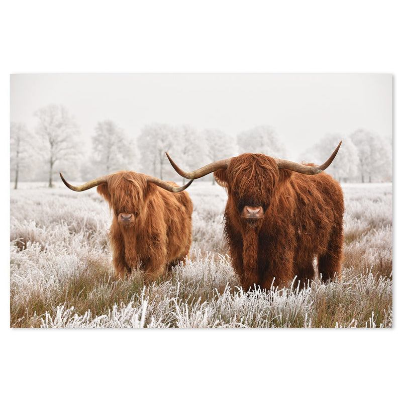 wall-art-print-canvas-poster-framed-Highland Cows In The Meadow-by-Gioia Wall Art-Gioia Wall Art