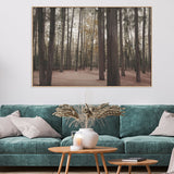 wall-art-print-canvas-poster-framed-Hollybank Forest Tasmania , By Dear Musketeer Studio-2