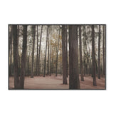 wall-art-print-canvas-poster-framed-Hollybank Forest Tasmania , By Dear Musketeer Studio-3