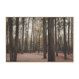 wall-art-print-canvas-poster-framed-Hollybank Forest Tasmania , By Dear Musketeer Studio-4