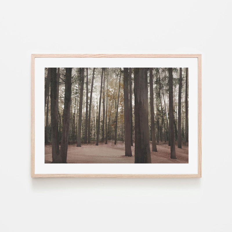 wall-art-print-canvas-poster-framed-Hollybank Forest Tasmania , By Dear Musketeer Studio-6