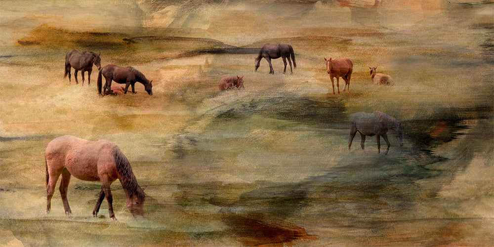 wall-art-print-canvas-poster-framed-Horses Grazing-1