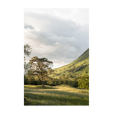wall-art-print-canvas-poster-framed-Into the Highlands-1