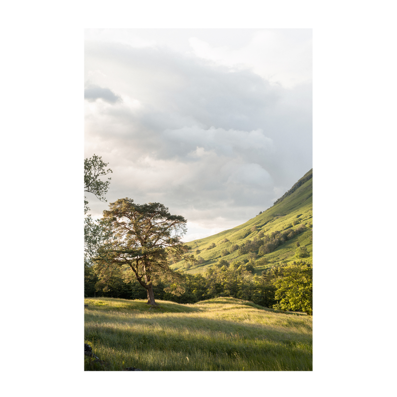 wall-art-print-canvas-poster-framed-Into the Highlands-1