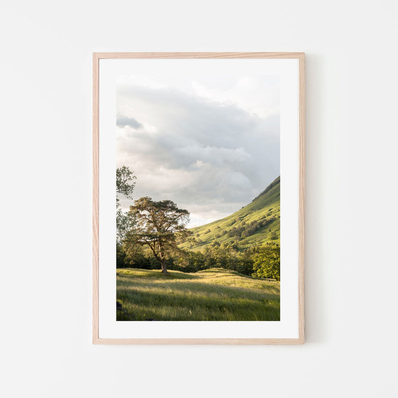 wall-art-print-canvas-poster-framed-Into the Highlands-6