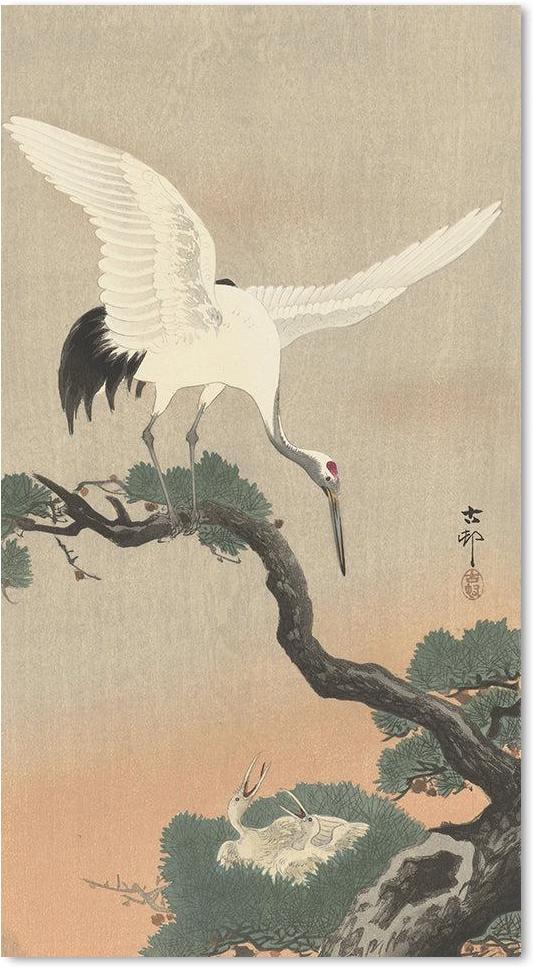 wall-art-print-canvas-poster-framed-Japanese Crane On Pine Branch, 1900-30, By Ohara Koson-by-Gioia Wall Art-Gioia Wall Art