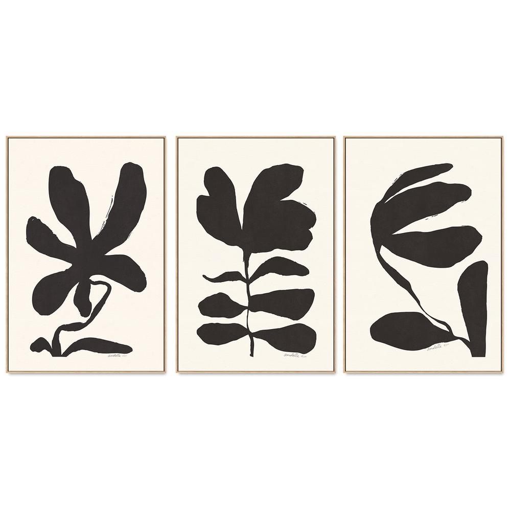 wall-art-print-canvas-poster-framed-Jasmine, Crossandra And Lily, Set Of 3 , By Andelle Art-4