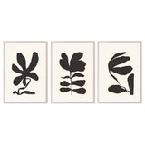 wall-art-print-canvas-poster-framed-Jasmine, Crossandra And Lily, Set Of 3 , By Andelle Art-6