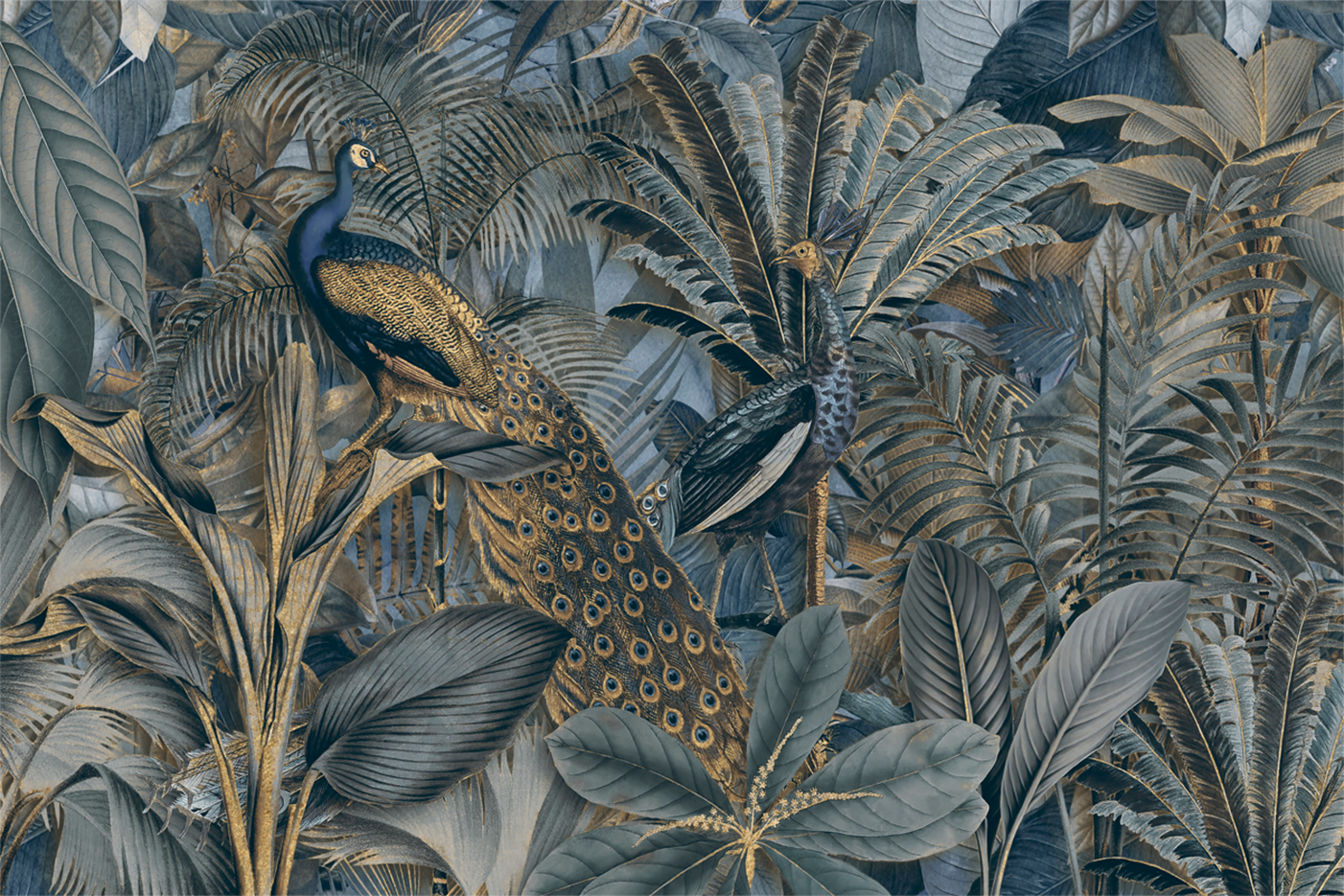wall-art-print-canvas-poster-framed-Jungle Birds In Gold, By Andrea Haase-GIOIA-WALL-ART