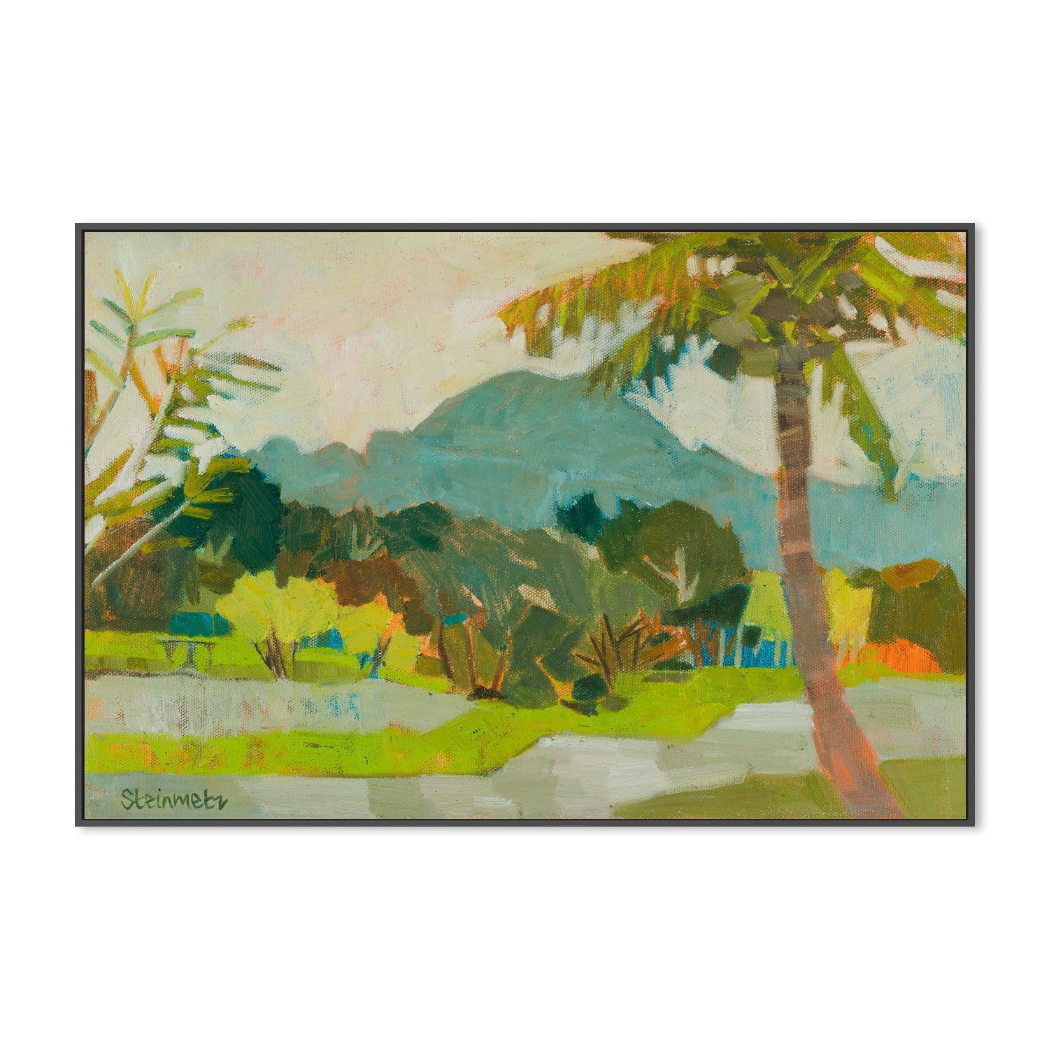 wall-art-print-canvas-poster-framed-Kilohana With Coconuts Kauai , By Liana Steinmetz-3