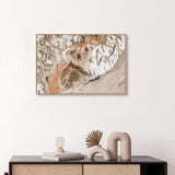 wall-art-print-canvas-poster-framed-Koala Resting-by-Gioia Wall Art-Gioia Wall Art