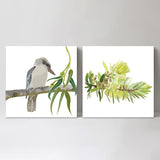 wall-art-print-canvas-poster-framed-Kookaburra And Eucalyptus, Set Of 2-by-Gioia Wall Art-Gioia Wall Art