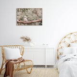 wall-art-print-canvas-poster-framed-Kookaburra Resting On Gum Tree-by-Gioia Wall Art-Gioia Wall Art