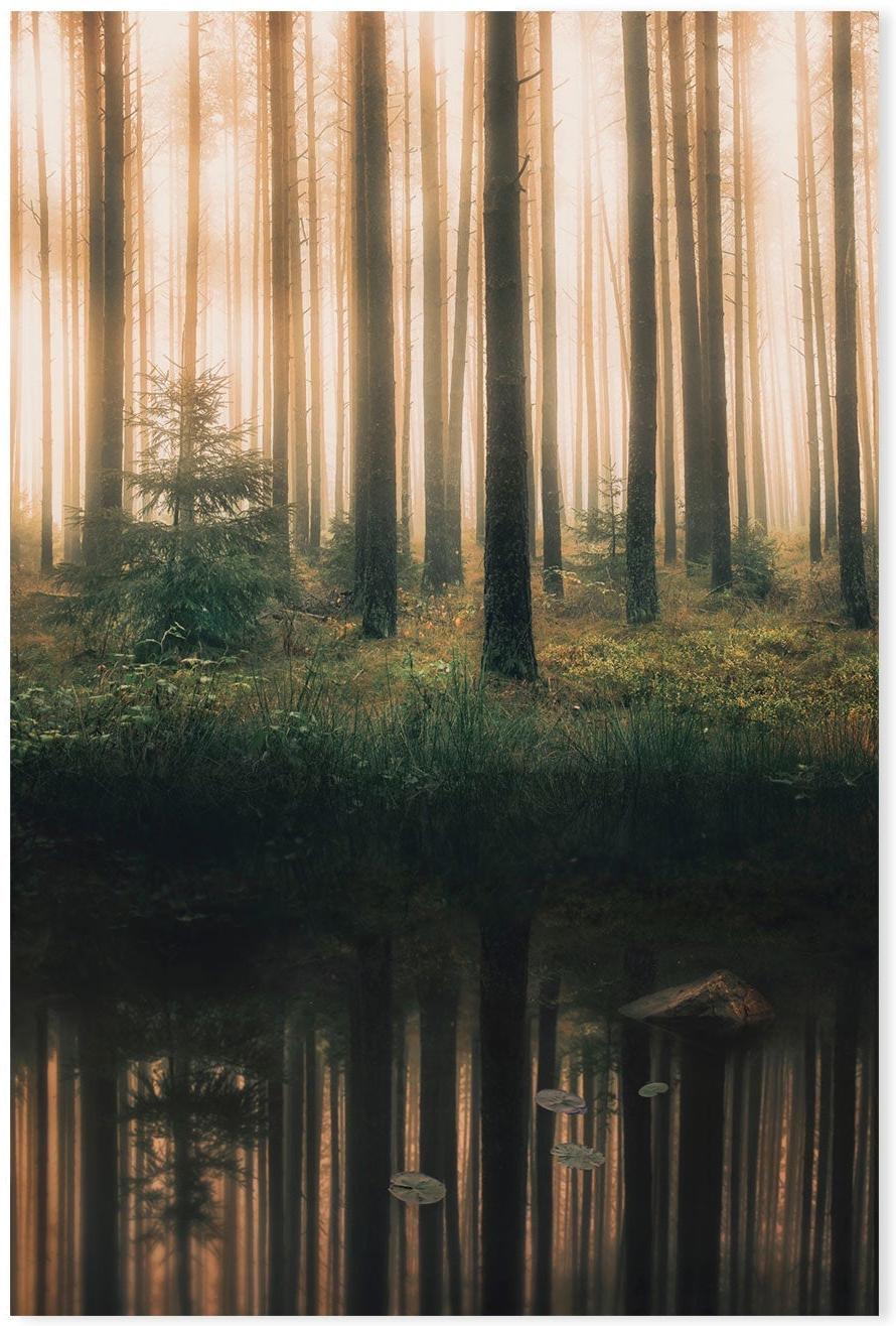wall-art-print-canvas-poster-framed-Lake Reflection , By Christian Lindsten-GIOIA-WALL-ART