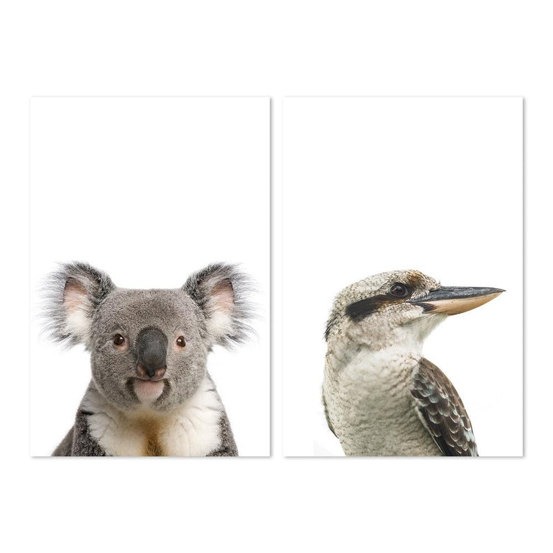 wall-art-print-canvas-poster-framed-Laughing Kookaburra And Koala, Set Of 2-by-Gioia Wall Art-Gioia Wall Art