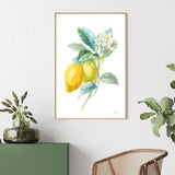 wall-art-print-canvas-poster-framed-Lemon Branch, Style A , By Danhui Nai-GIOIA-WALL-ART