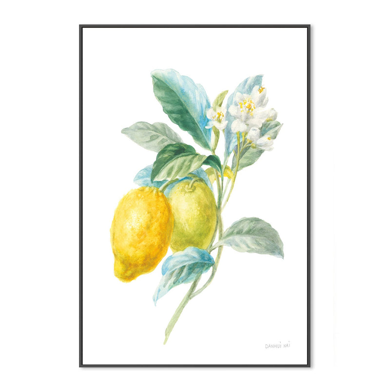 wall-art-print-canvas-poster-framed-Lemon Branch, Style A , By Danhui Nai-GIOIA-WALL-ART