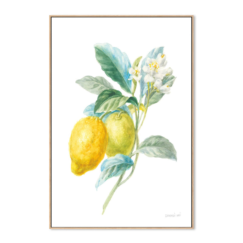 wall-art-print-canvas-poster-framed-Lemon Branch, Style A , By Danhui Nai-GIOIA-WALL-ART