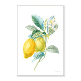 wall-art-print-canvas-poster-framed-Lemon Branch, Style A , By Danhui Nai-GIOIA-WALL-ART
