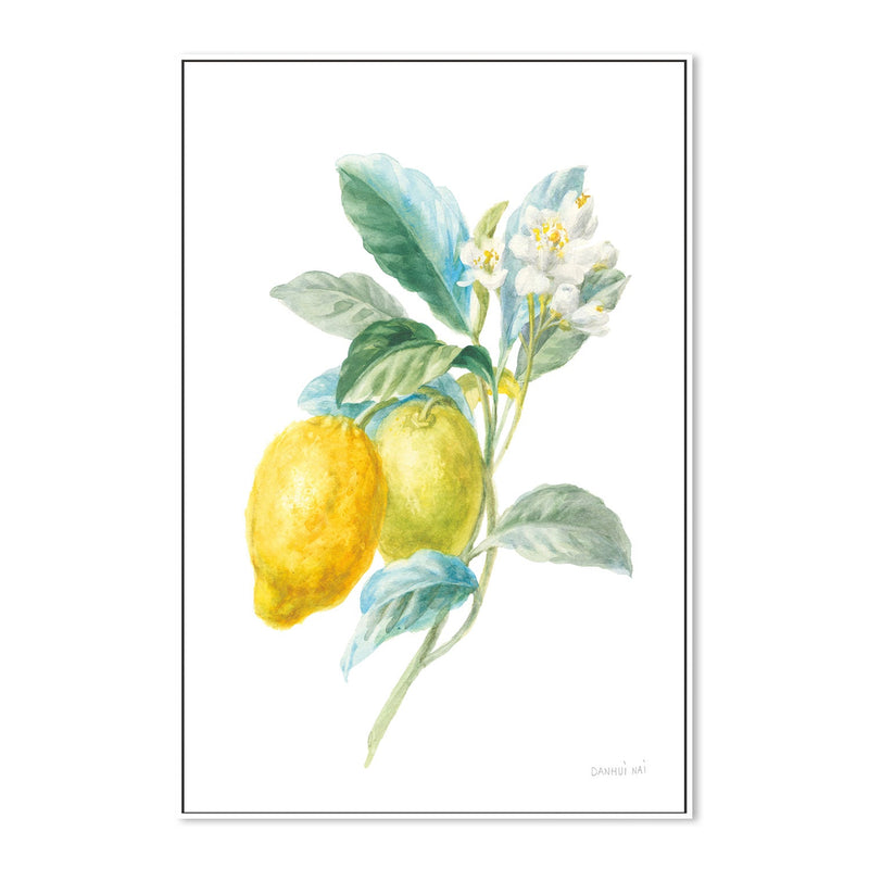 wall-art-print-canvas-poster-framed-Lemon Branch, Style A , By Danhui Nai-GIOIA-WALL-ART