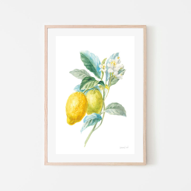 wall-art-print-canvas-poster-framed-Lemon Branch, Style A , By Danhui Nai-GIOIA-WALL-ART