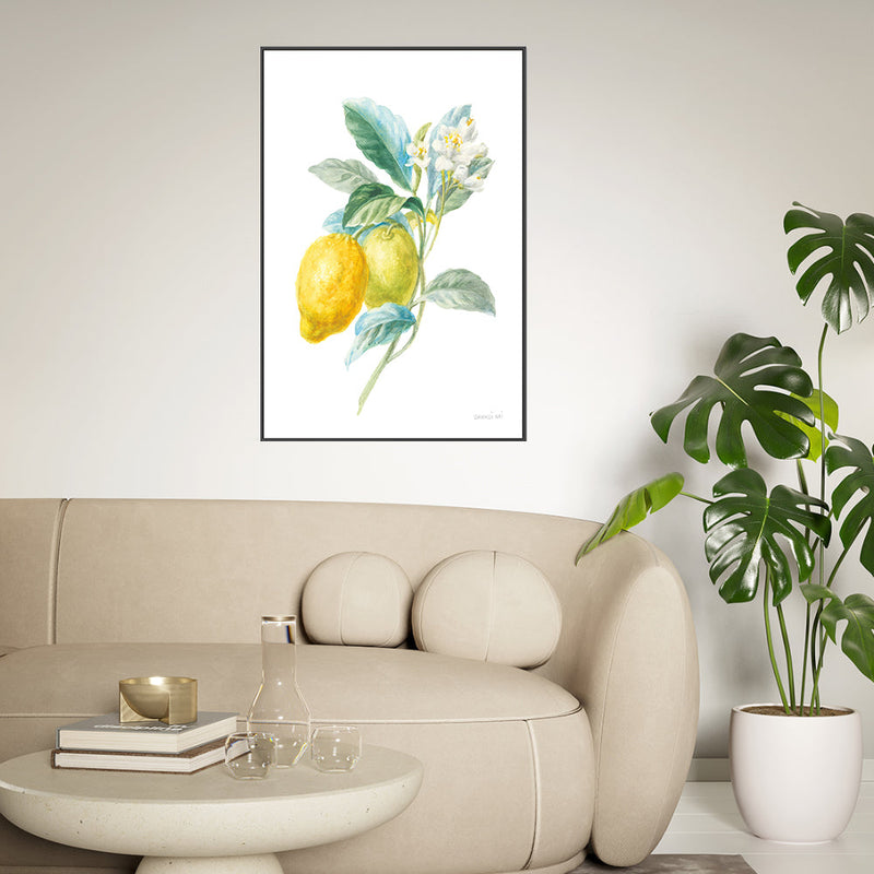 wall-art-print-canvas-poster-framed-Lemon Branch, Style A , By Danhui Nai-GIOIA-WALL-ART