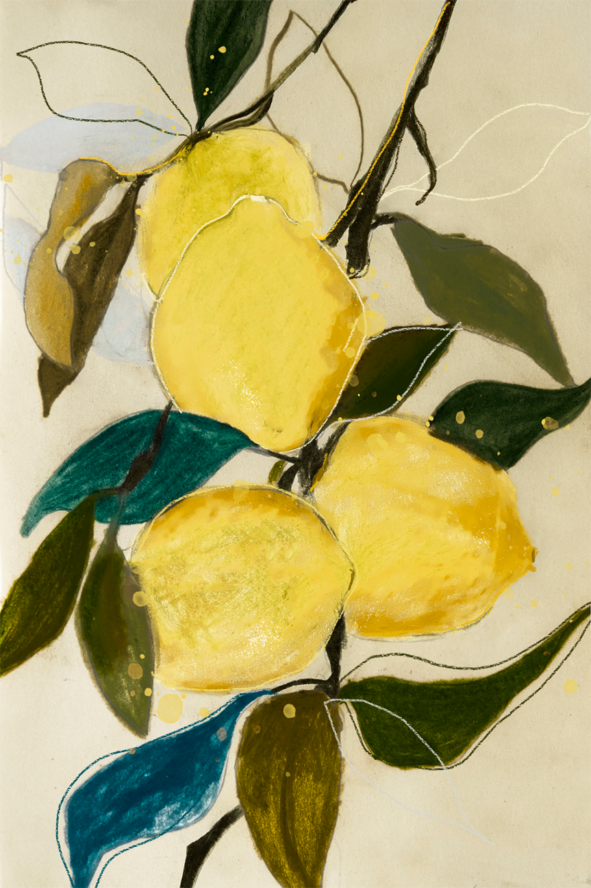 wall-art-print-canvas-poster-framed-Lemon Study, Style A , By Leigh Viner-1