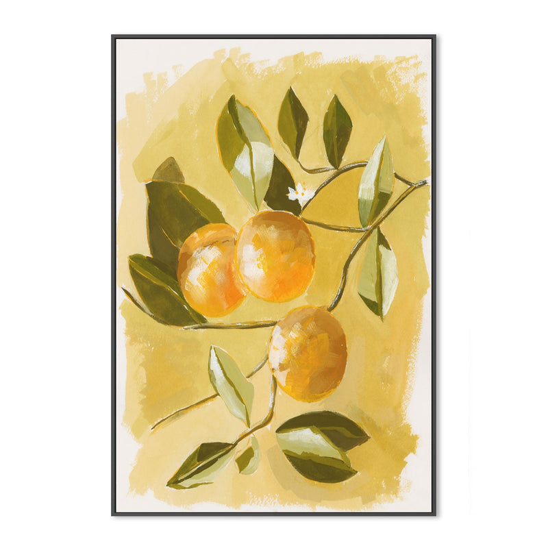 wall-art-print-canvas-poster-framed-Lemon Tree , By Lucrecia Caporale-3