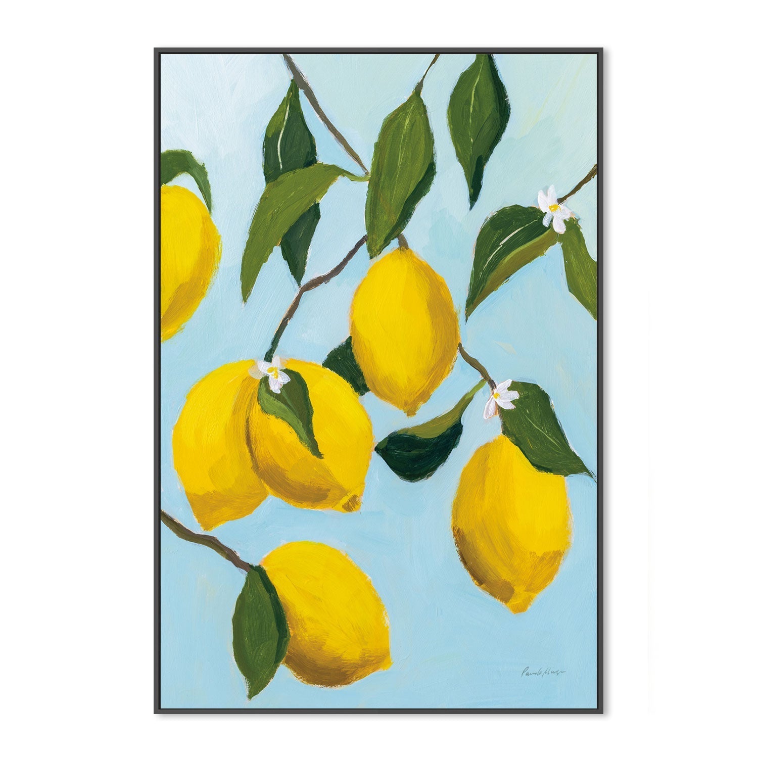wall-art-print-canvas-poster-framed-Lemon Tree , By Pamela Munger-GIOIA-WALL-ART